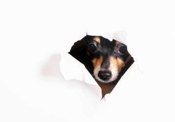 Similar image 17247440