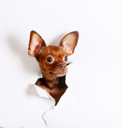 Similar image 17247441