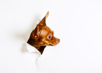 Similar image 17247442