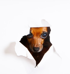 Similar image 17247443