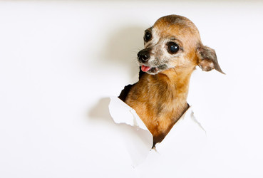 Similar image 17247446