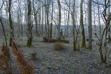 Similar image 17248583