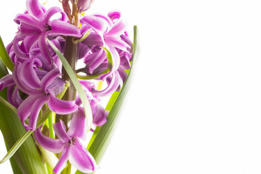 Similar image 17274234