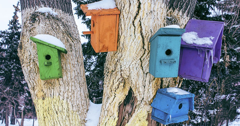 Similar image 17247350