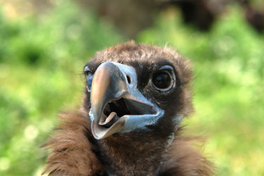 Similar image 17249151