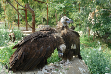 Similar image 17249152