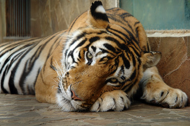 Similar image 17249153