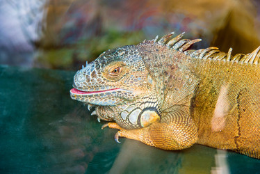 Similar image 17248586