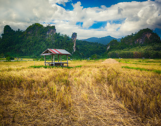 Similar image 17543361