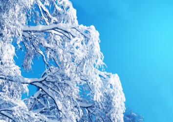 Similar image 17249031