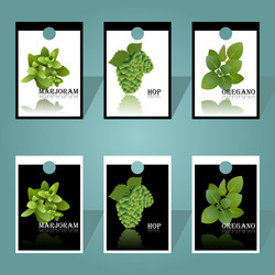 Similar image 17248849