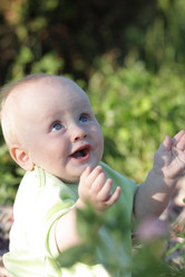 Similar image 17271006