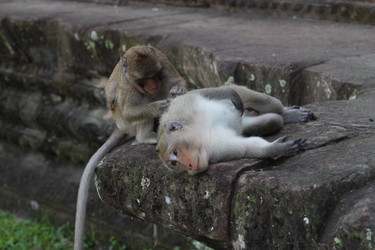 Similar image 17270382