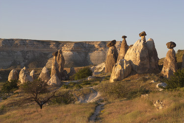 Similar image 17270435