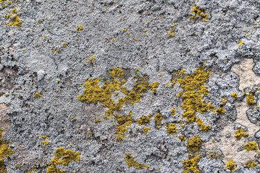 Similar image 17270403