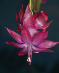 Similar image 17272057