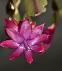 Similar image 17272149