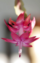 Similar image 17272188