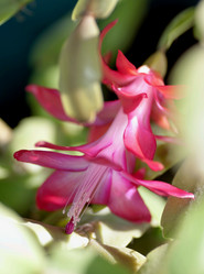 Similar image 17272328