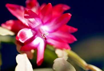 Similar image 17272343