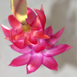 Similar image 17272357