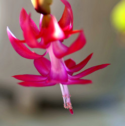 Similar image 17272370