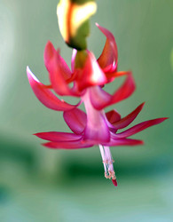 Similar image 17272385