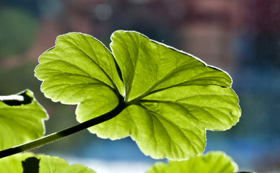 Similar image 17272399