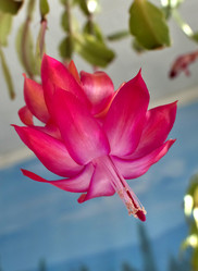 Similar image 17272414