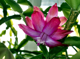 Similar image 17272429