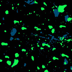 Similar image 17270989