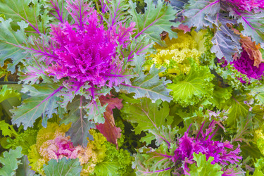 Similar image 17271063