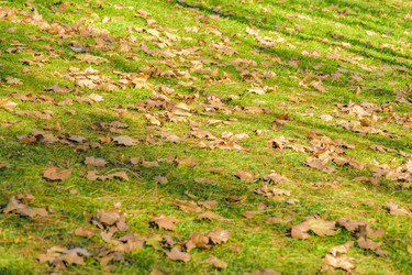 Similar image 17271131