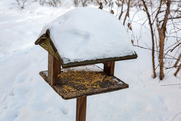 Similar image 17315040