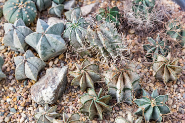 Similar image 17543166