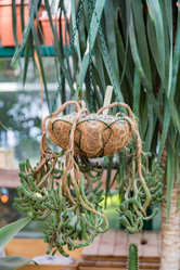 Similar image 17543183