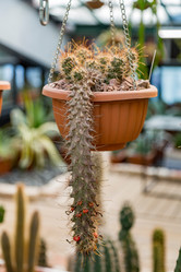 Similar image 17543146