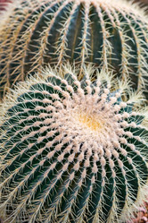 Similar image 17543147