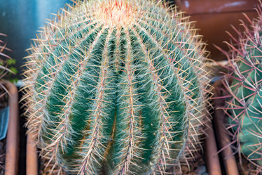 Similar image 17543148