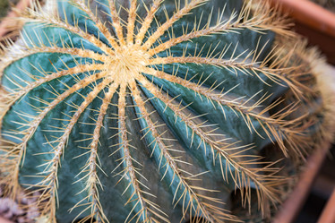 Similar image 17543149