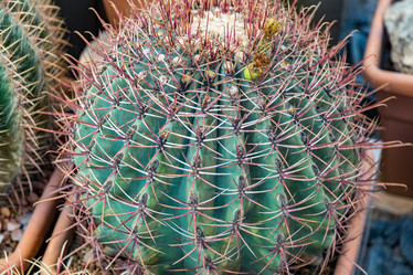 Similar image 17543150