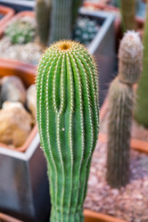 Similar image 17543152