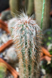 Similar image 17543153