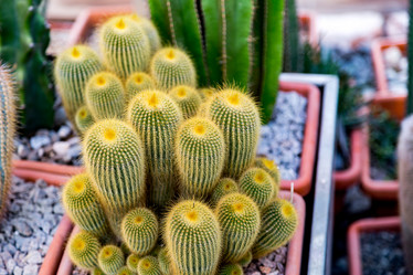 Similar image 17543154