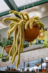 Similar image 17543156