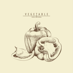 Similar image 17543160