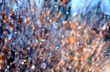 Similar image 17543190