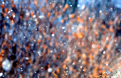 Similar image 17543191