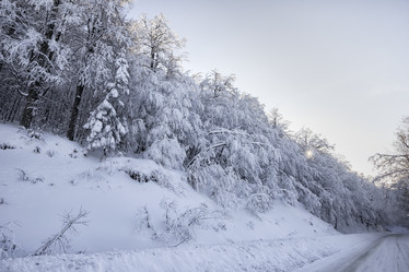 Similar image 17543007