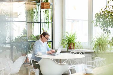 Similar image 17542787